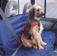Ezy Dog Car Seat Belt Harness