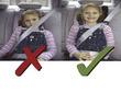 View Child Seat Belt Comfort Height Adjuster additional image